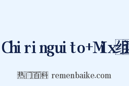 Chiringuito+Mix组词是什么意思的图片